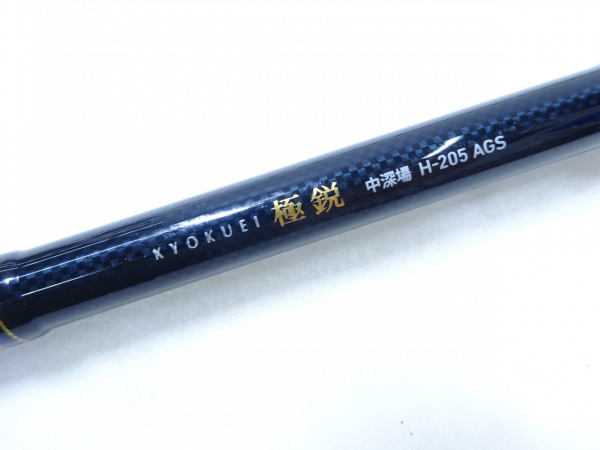 17極鋭中深場 Hー205 AGS